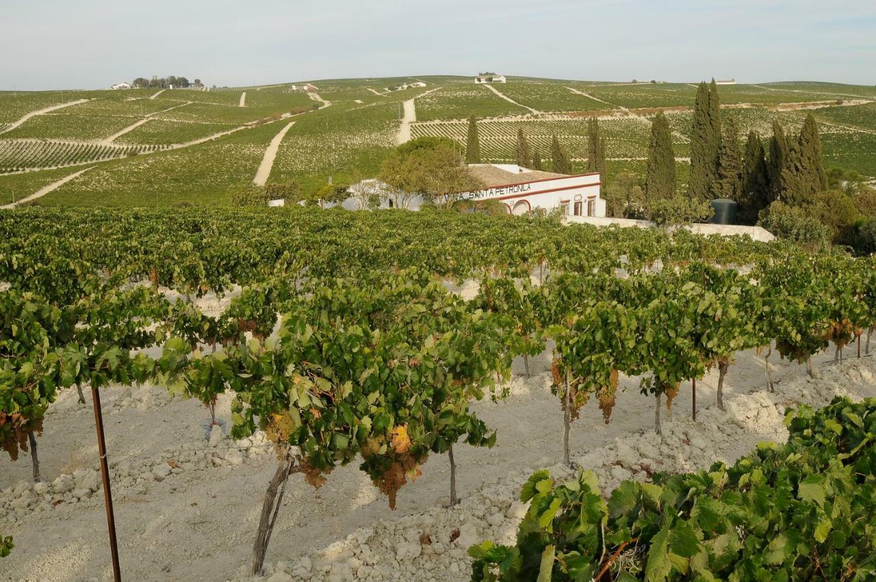 בית הארחה חרז 	Jerez Vina Santa Petronila מראה חיצוני תמונה