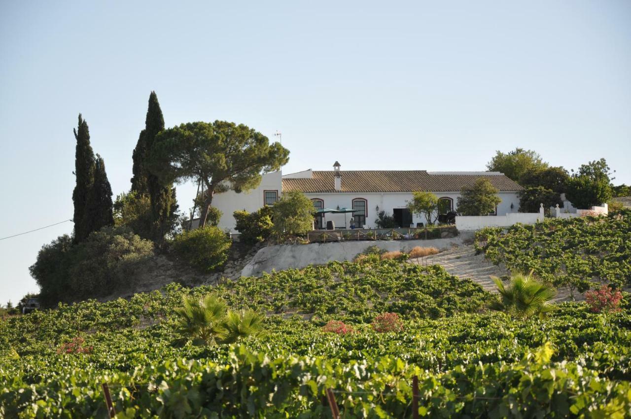 בית הארחה חרז 	Jerez Vina Santa Petronila מראה חיצוני תמונה